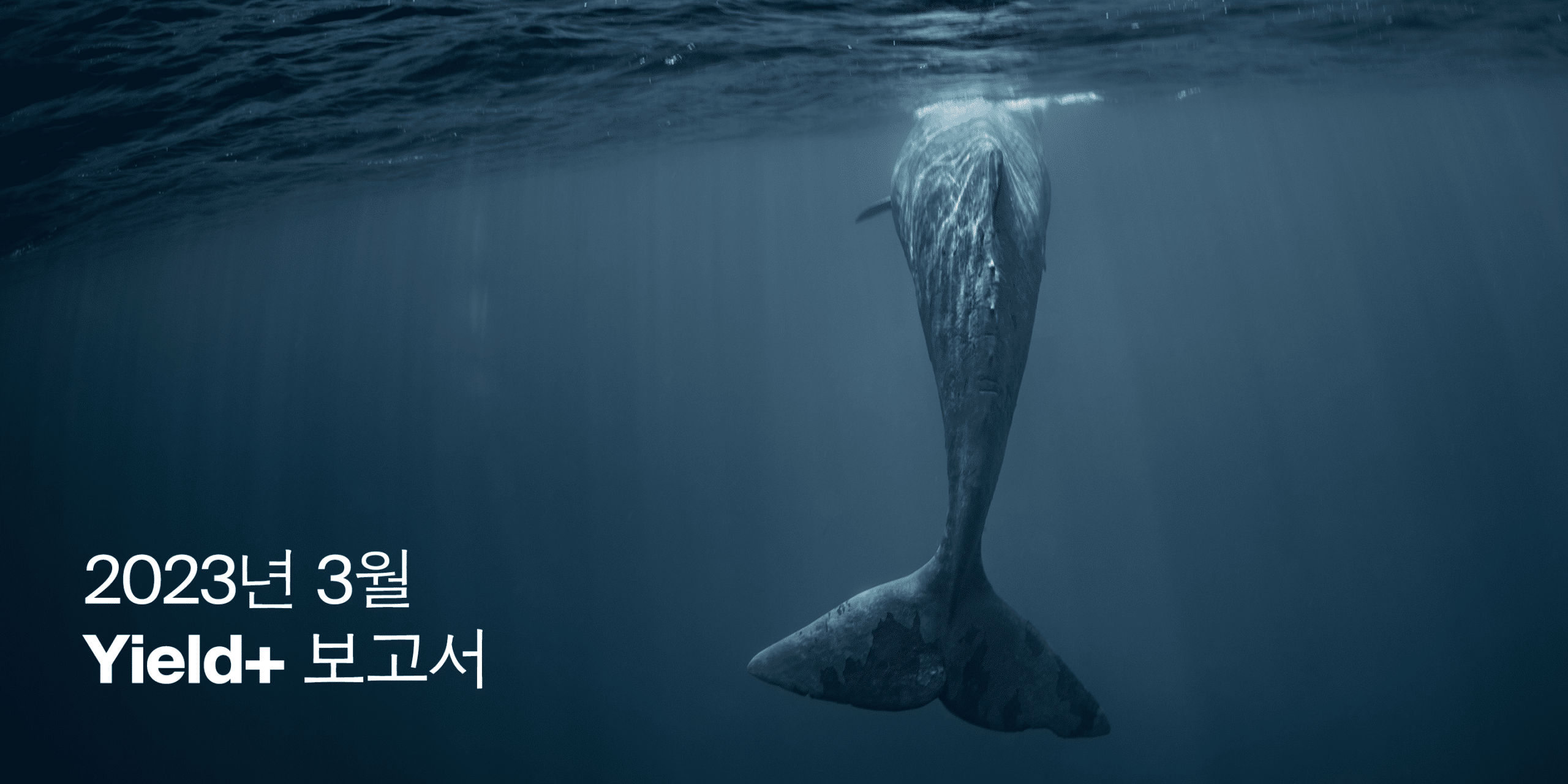 2023년 3월